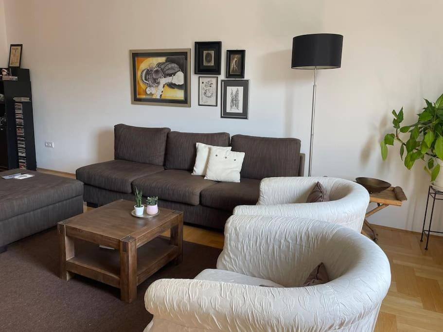 Spacious 3Br/2Bt Apartment With A/C In City Center ซาเกร็บ ภายนอก รูปภาพ