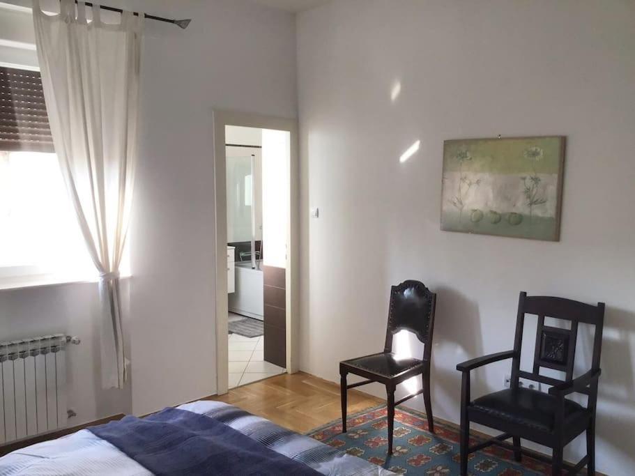Spacious 3Br/2Bt Apartment With A/C In City Center ซาเกร็บ ภายนอก รูปภาพ