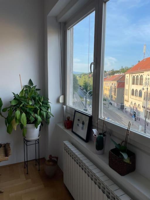 Spacious 3Br/2Bt Apartment With A/C In City Center ซาเกร็บ ภายนอก รูปภาพ